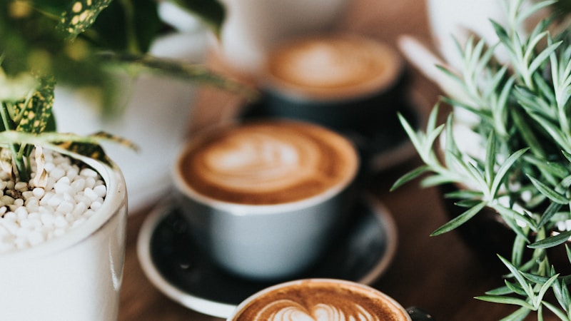 C COFFEE（シーコーヒー）でなぜ痩せる？無理なく続けられる理由と仕組みを優しく解説します